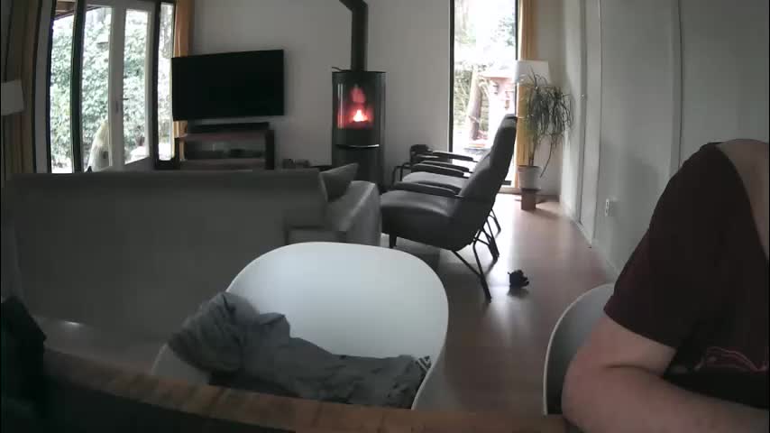 woodwurm Adult Chat February 14, 2026