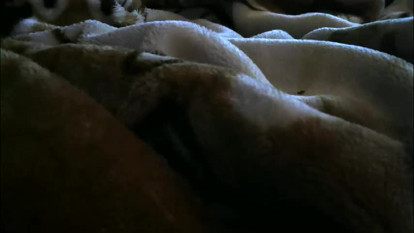 ebonyendebeest Adult Chat February 14, 2026