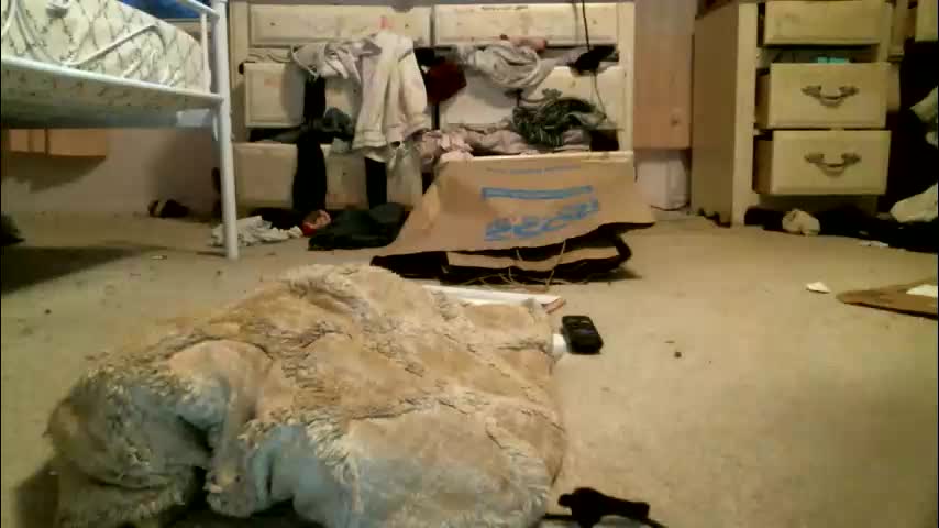 queenkourt Adult Chat February 14, 2026