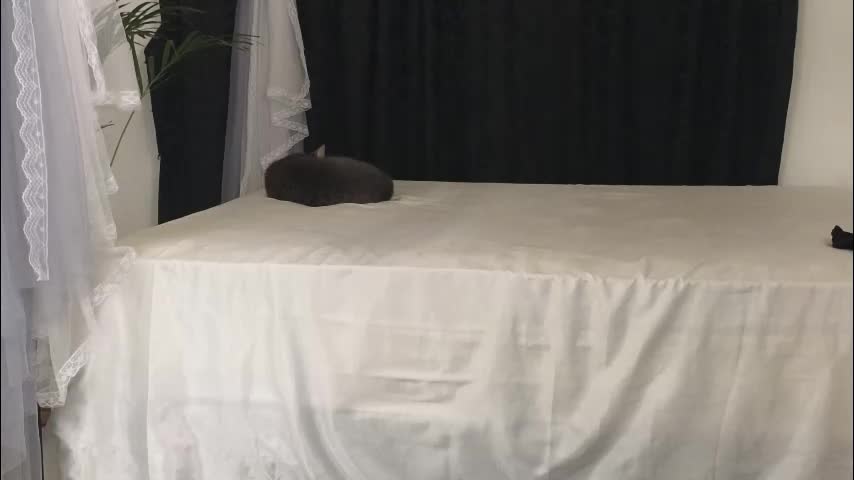 xxxvandersexxx Adult Chat February 15, 2026