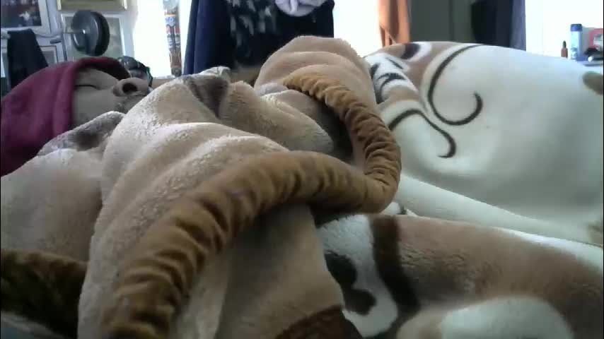 ebonyendebeest Adult Chat February 15, 2026