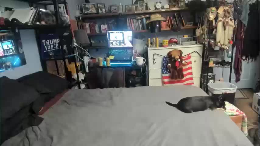 pink_black Adult Chat February 15, 2026