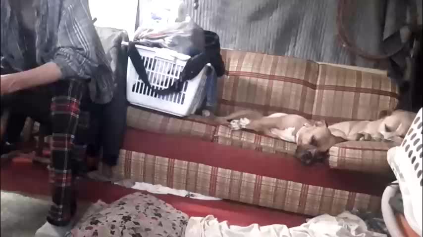 cowboysprincess Adult Chat February 15, 2026