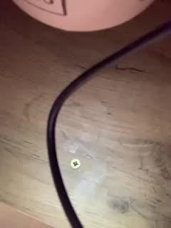 Yummypopka Adult Chat February 15, 2026