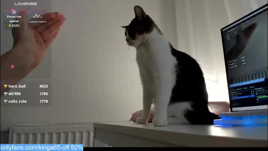 sugar_rainbow Adult Chat February 15, 2026