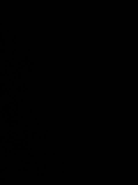 DenXXXTan Adult Chat February 15, 2026