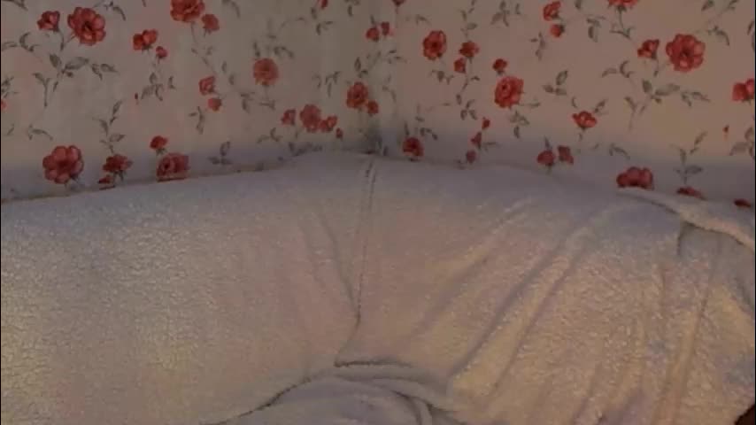 skysupernova Adult Chat February 16, 2026