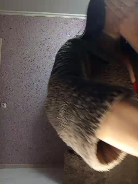 exnasis Adult Chat February 16, 2026