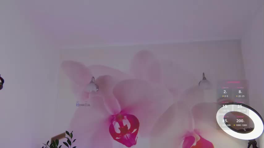 _AfterDark_ Adult Chat February 16, 2026