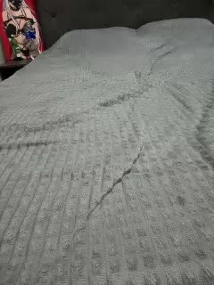 AlinaRay Adult Chat February 16, 2026