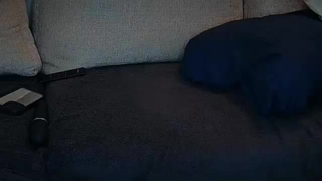 angelbabylovee Adult Chat February 20, 2026