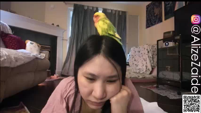 alizezaide Adult Chat February 17, 2026