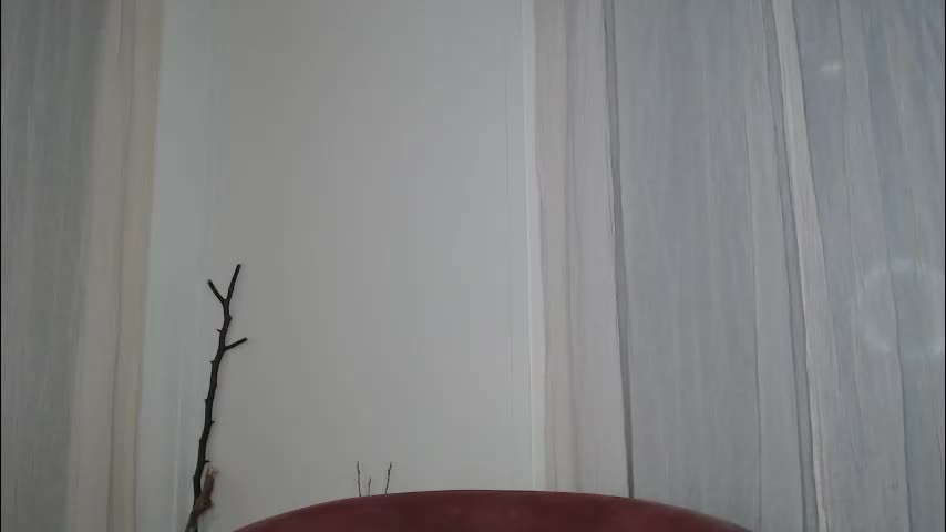 ivyrosiex Adult Chat February 18, 2026