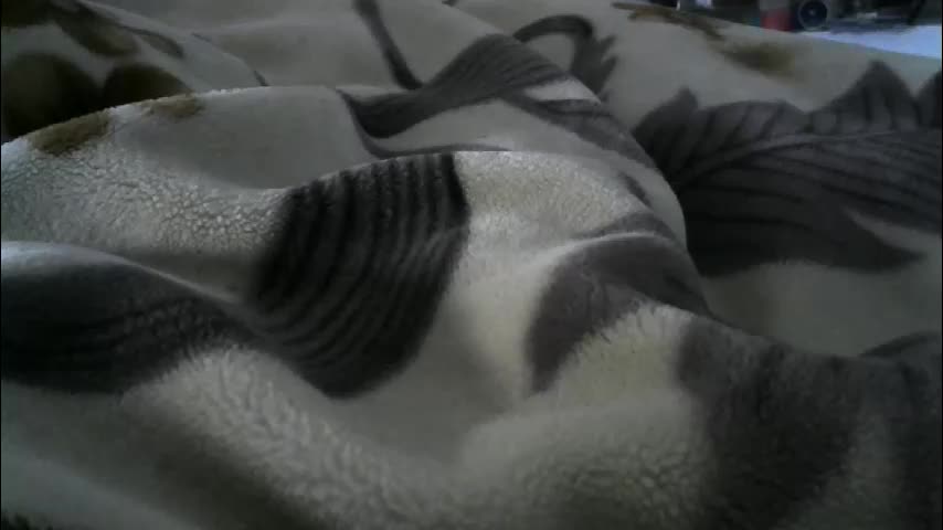 ebonyendebeest Adult Chat February 16, 2026