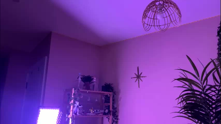 vixenp Adult Chat February 18, 2026