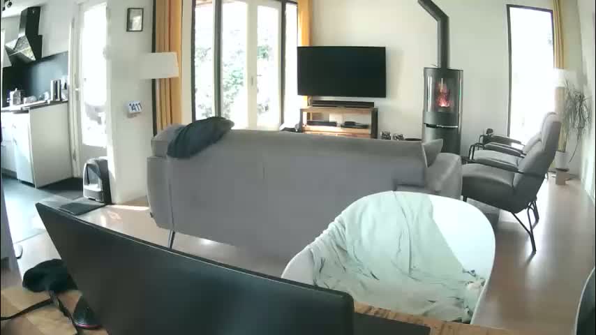 woodwurm Adult Chat February 18, 2026