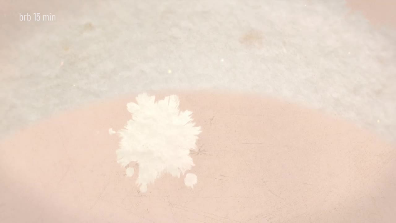 Taanni Adult Chat February 22, 2026