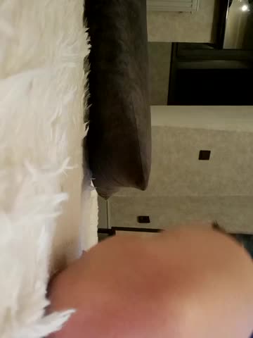 Sofia-Sofia Adult Chat February 22, 2026