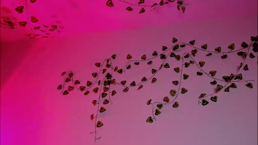 ladytrep Adult Chat February 21, 2026