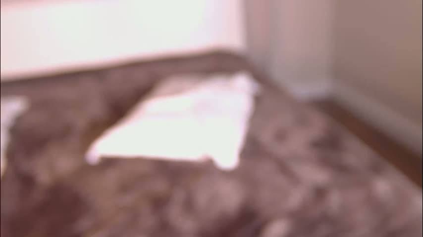 bounceonyou Adult Chat February 17, 2026