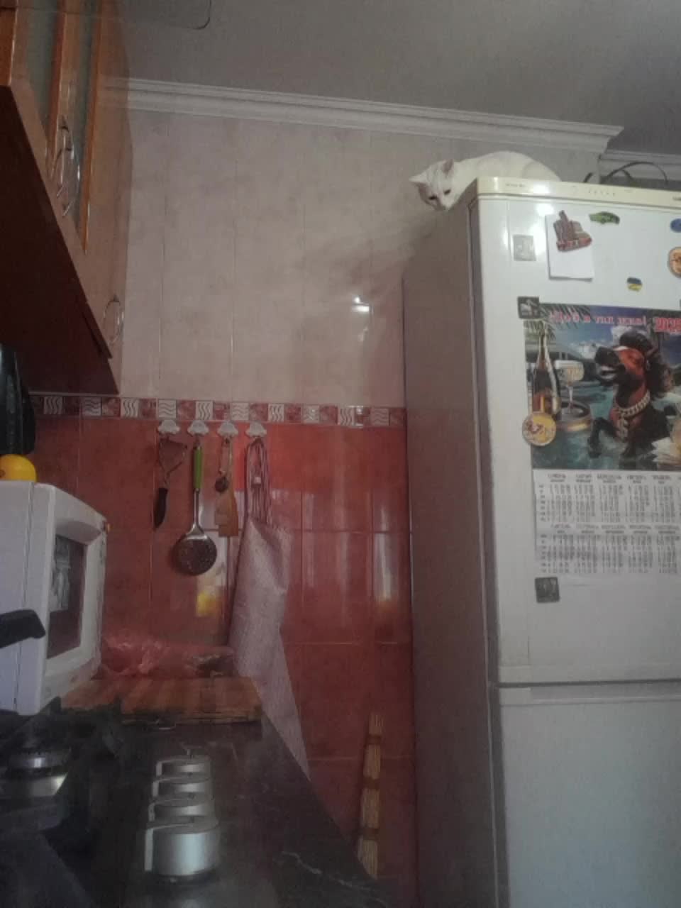 KALISTO88 Adult Chat February 22, 2026