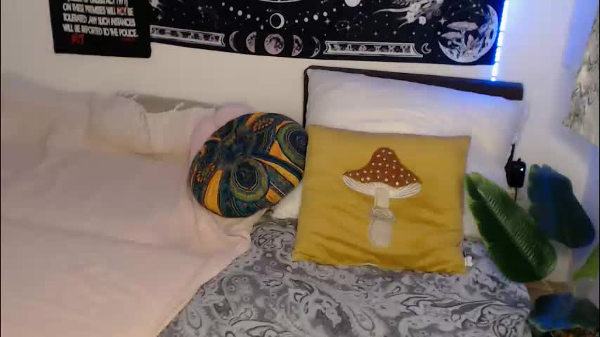 aliens4twenty Adult Chat February 17, 2026