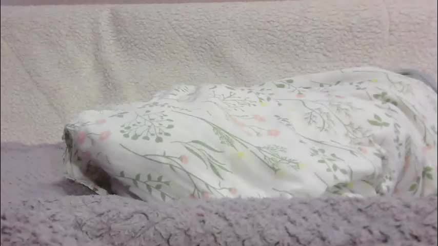 lenorrr Adult Chat February 21, 2026