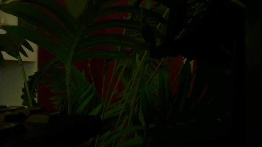 imcarrieberry Adult Chat February 22, 2026