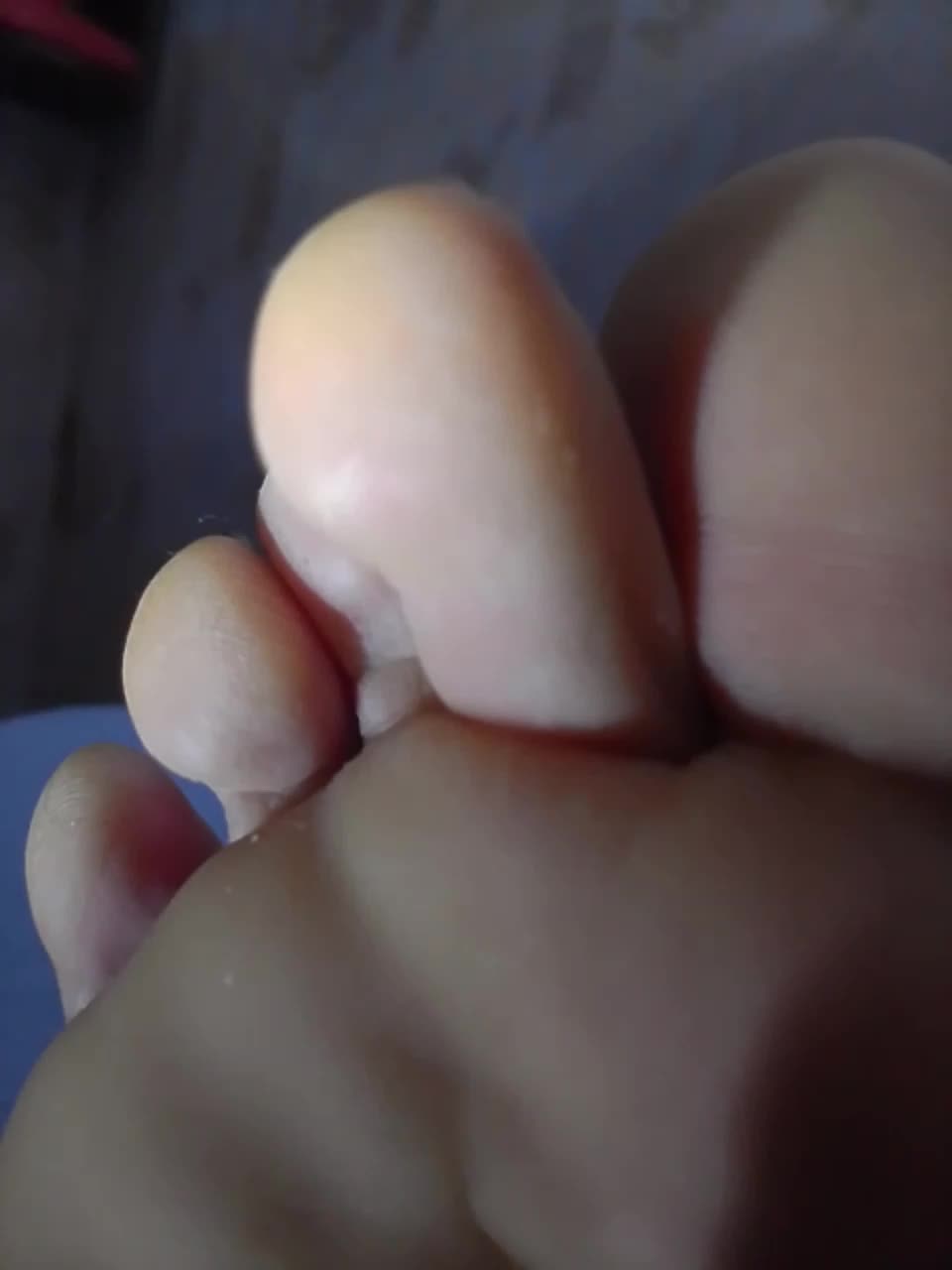 ReversoContex Adult Chat February 17, 2026