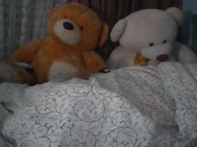 CassieStefana Adult Chat February 22, 2026