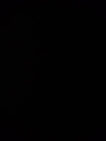 Vita240 Adult Chat February 21, 2026