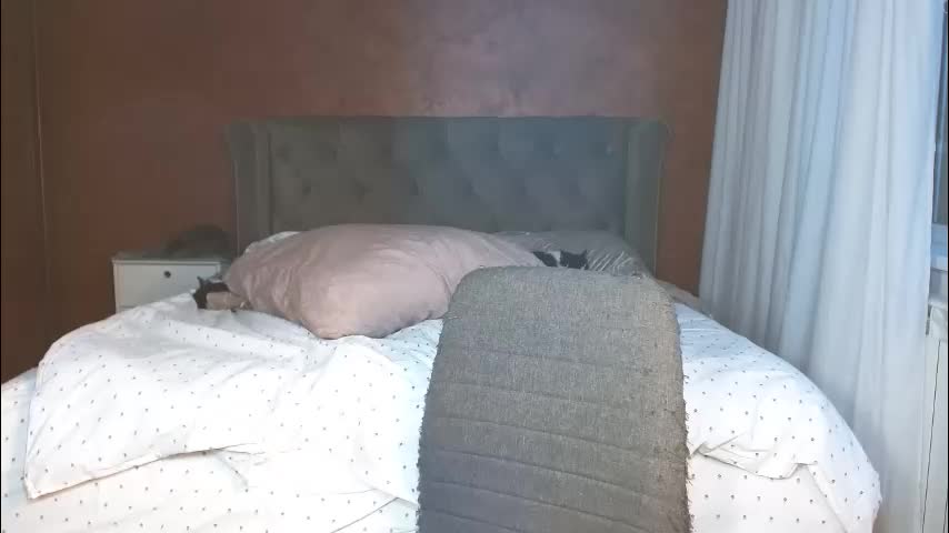 mishakiss34 Adult Chat February 22, 2026