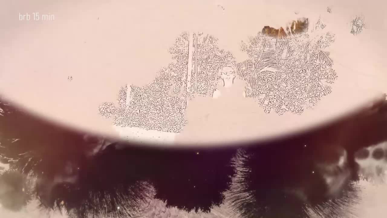 Taanni Adult Chat February 23, 2026