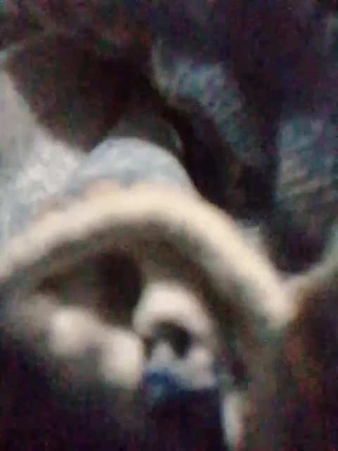 Nika0000 Adult Chat February 20, 2026