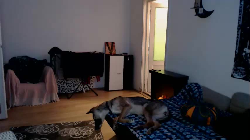 aliens4twenty Adult Chat February 21, 2026