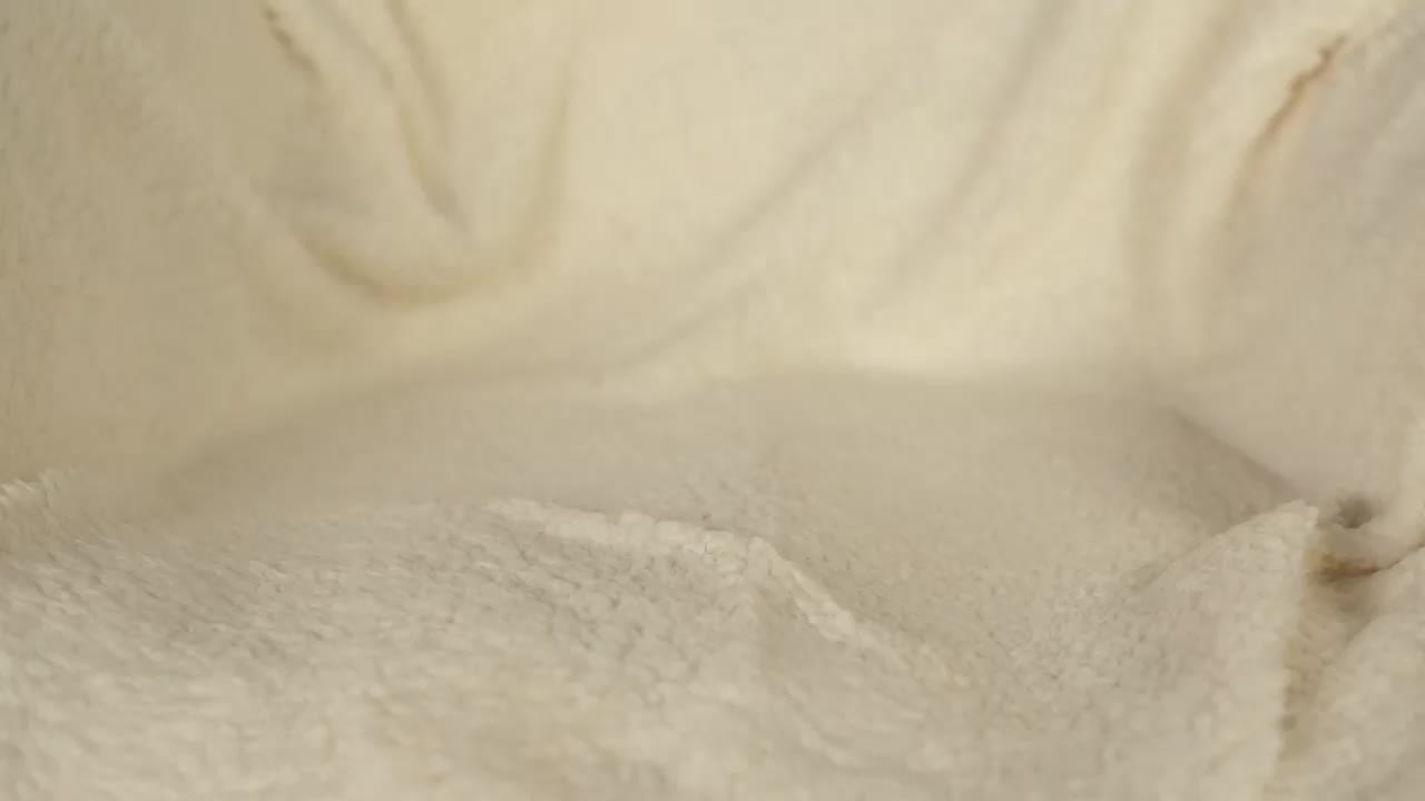 OrsonHodge Adult Chat February 22, 2026