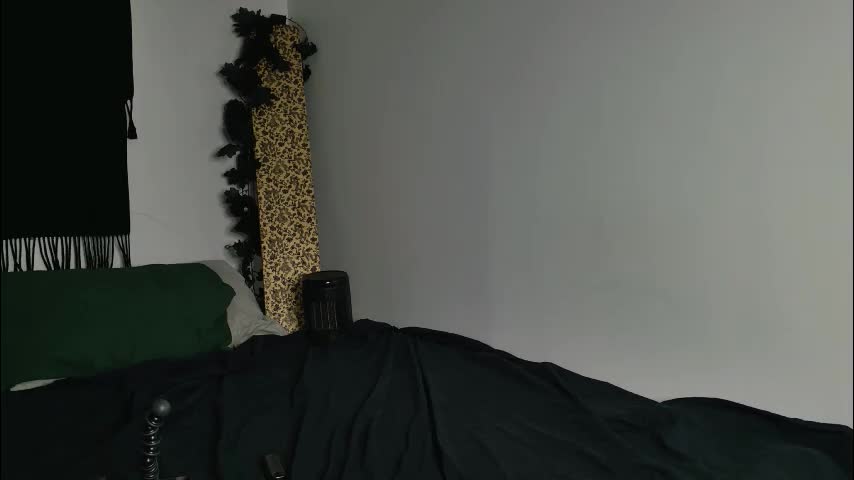 jackdesfeux Adult Chat February 19, 2026