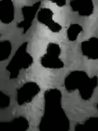 Friends-51 Adult Chat February 22, 2026