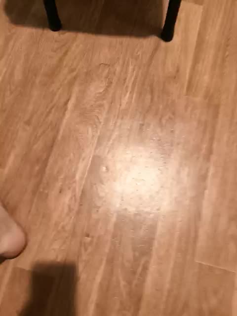 Nelonia Adult Chat February 21, 2026