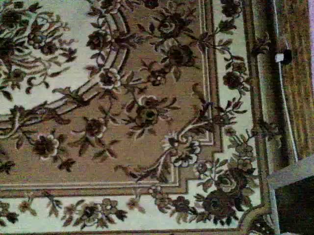 Viktoriia21 Adult Chat February 20, 2026