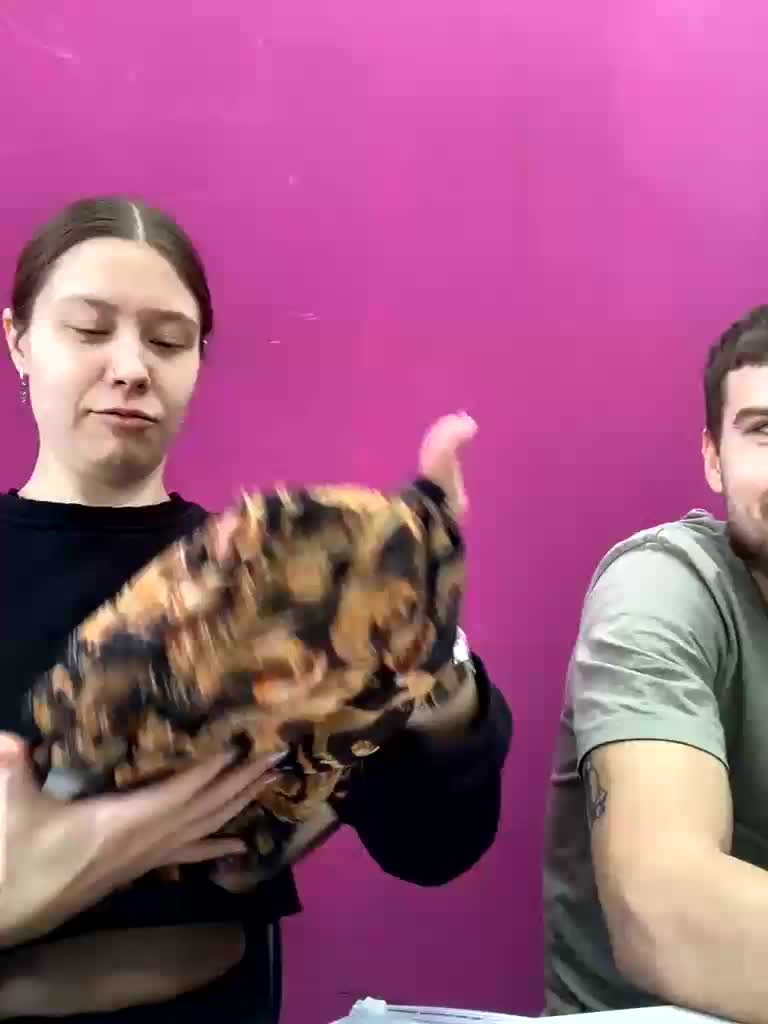 -SweetCouple-1 Adult Chat February 23, 2026