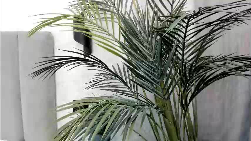 ultima_ma18 Adult Chat February 23, 2026