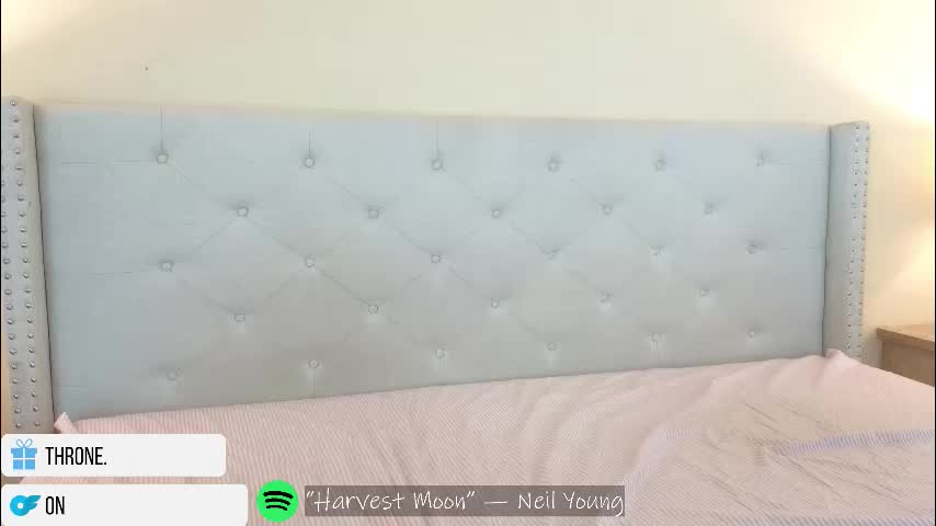 catberg Adult Chat February 24, 2026