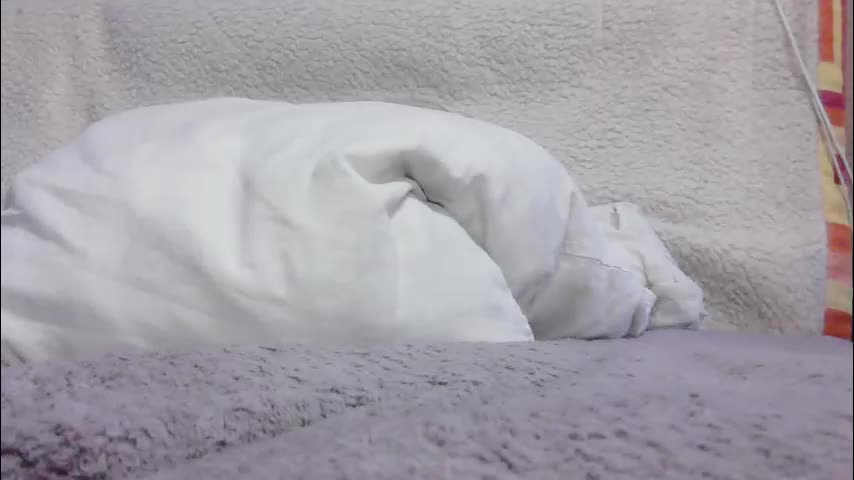 lenorrr Adult Chat February 24, 2026