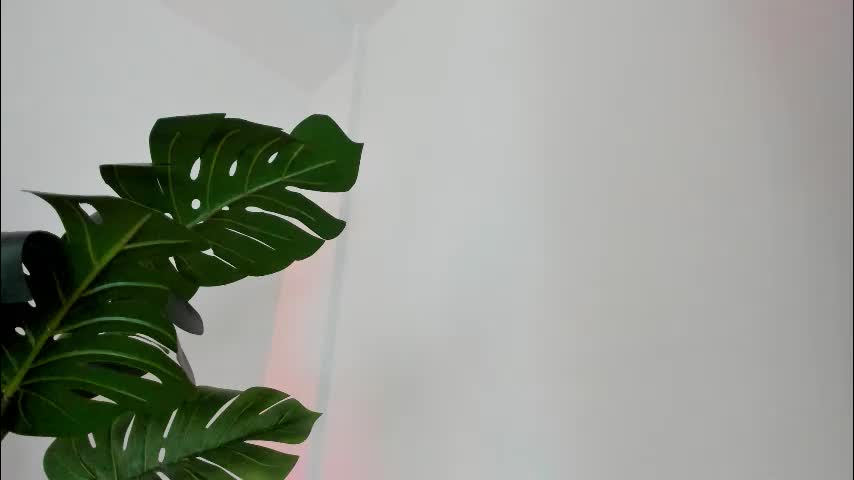 ashllovee_ Adult Chat February 24, 2026