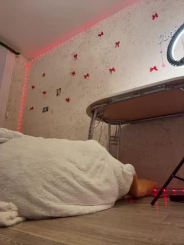 LittleDelora Adult Chat February 24, 2026