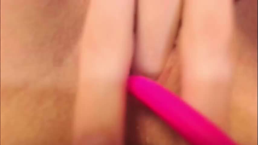 kittyloffe Adult Chat February 24, 2026