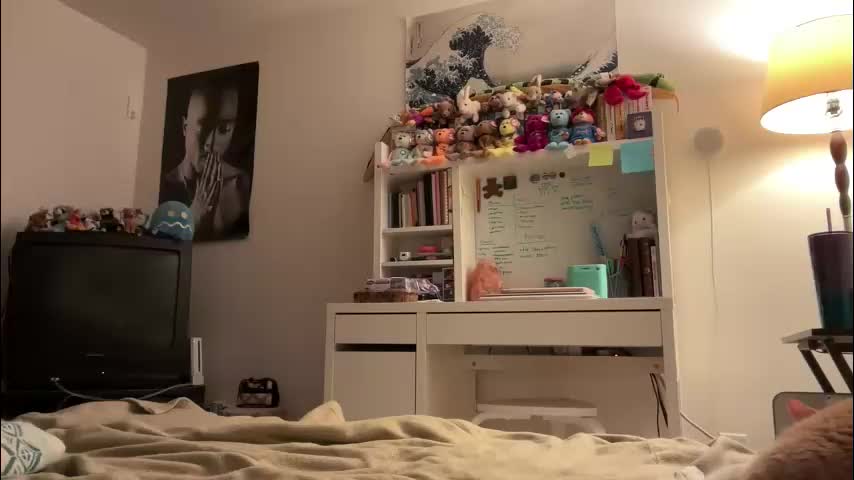 vanessapark Adult Chat February 24, 2026