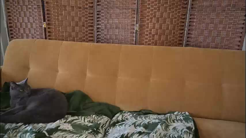 lilithoftrees Adult Chat February 24, 2026