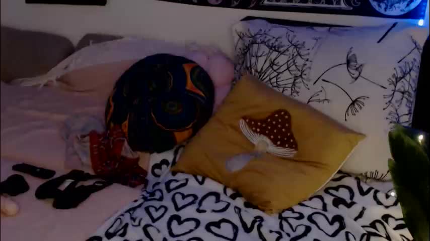 aliens4twenty Adult Chat February 24, 2026